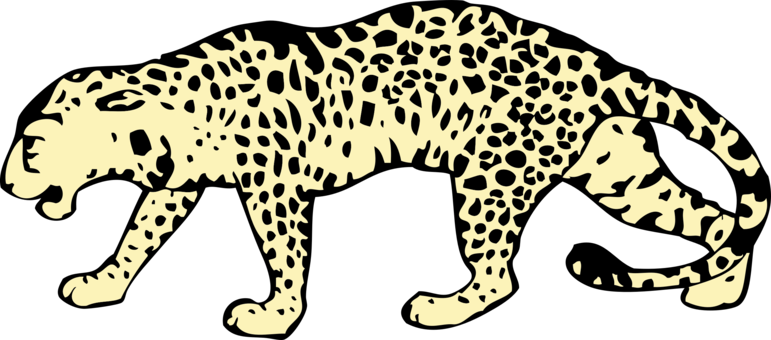 Felidae Cheetah Snow Leopard Clouded Leopard Northeast - Leopard Clipart (771x340), Png Download