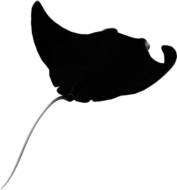 Manta Ray Silhouette At Getdrawings - Transparent Stingray Clipart (1024x639), Png Download