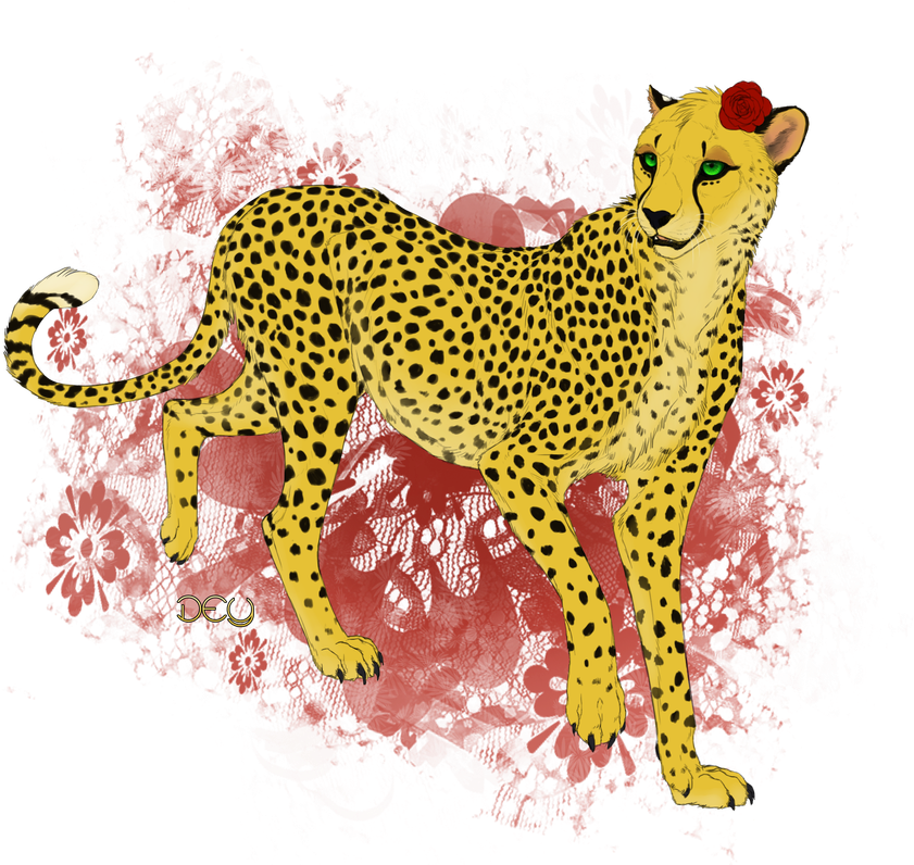 Cat (897x800), Png Download