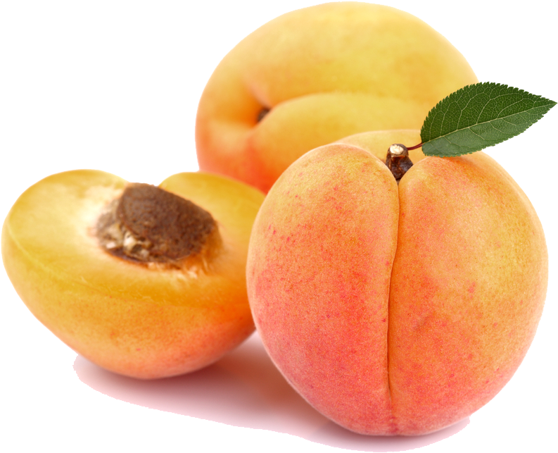 Apricot Png Image - Apricot Png (1000x800), Png Download