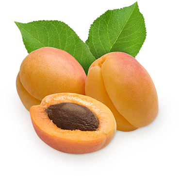 Apricot Png (400x400), Png Download