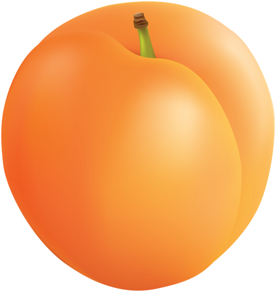 Apricot Png Clip Art - Free Clip Art Apricot (568x600), Png Download