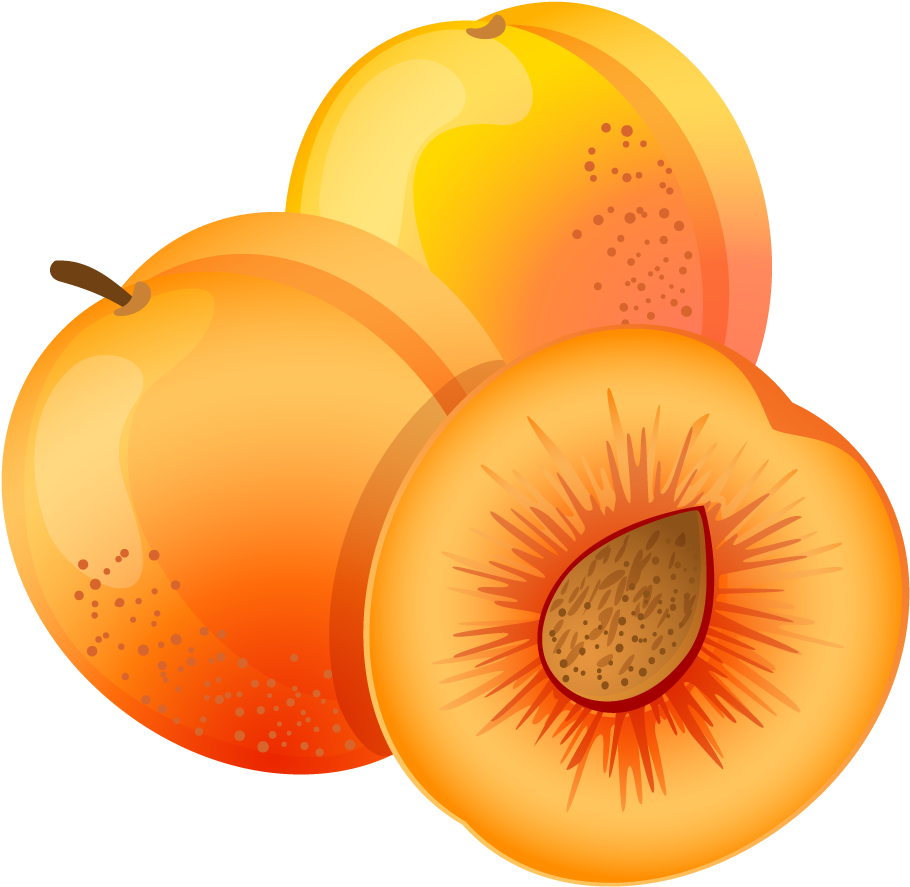Apricot Png - Peach Vector (951x917), Png Download