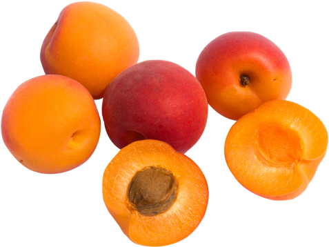Download Organic Apricots Png Image - Apricot (500x379), Png Download
