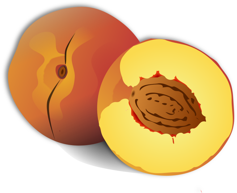 Medium Image Png - Peach Clipart Png (800x756), Png Download