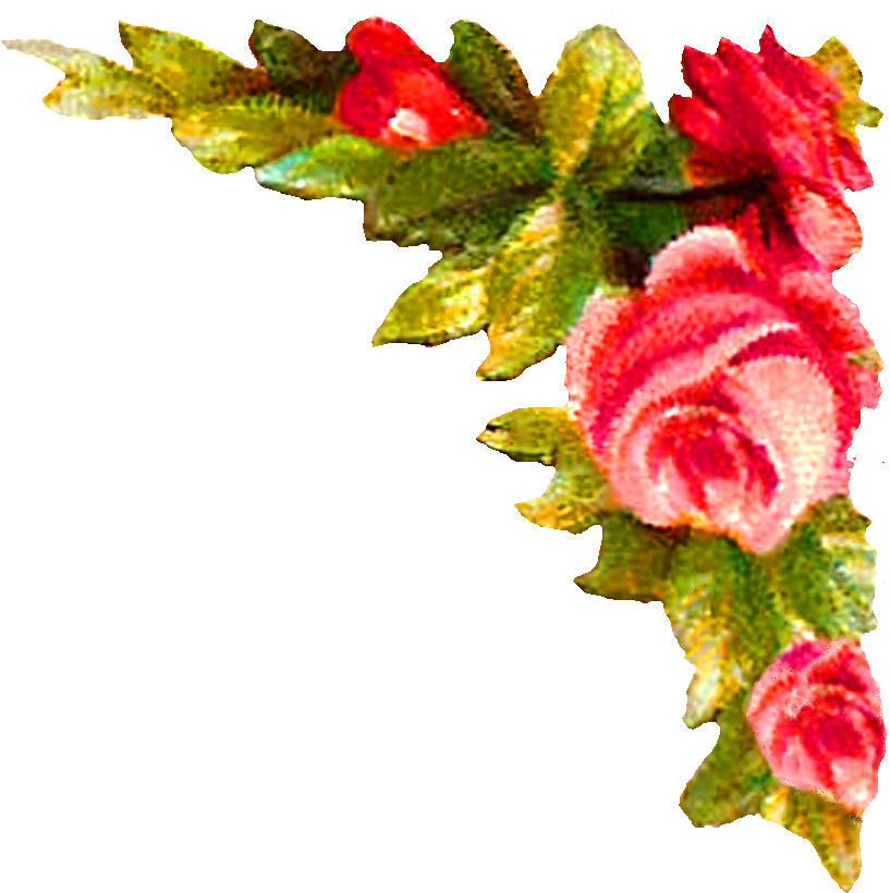 Digital Flower Corner Design - Greetings Card Design Png (1000x1028), Png Download