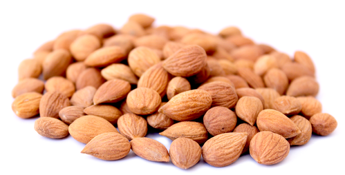 Sweet Apricot Kernels 528 Lb Order - Apricot Kernel Png (498x497), Png Download