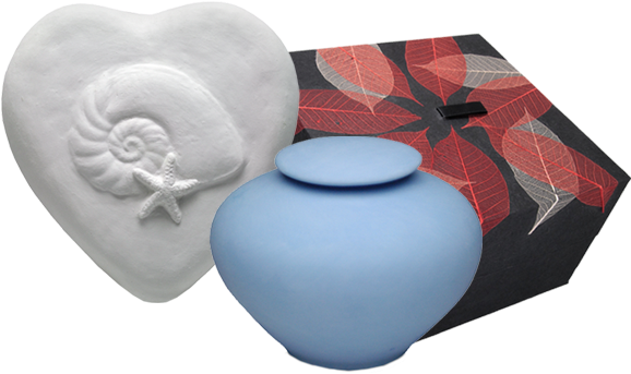 Biodegradable Urns - Urn (582x373), Png Download