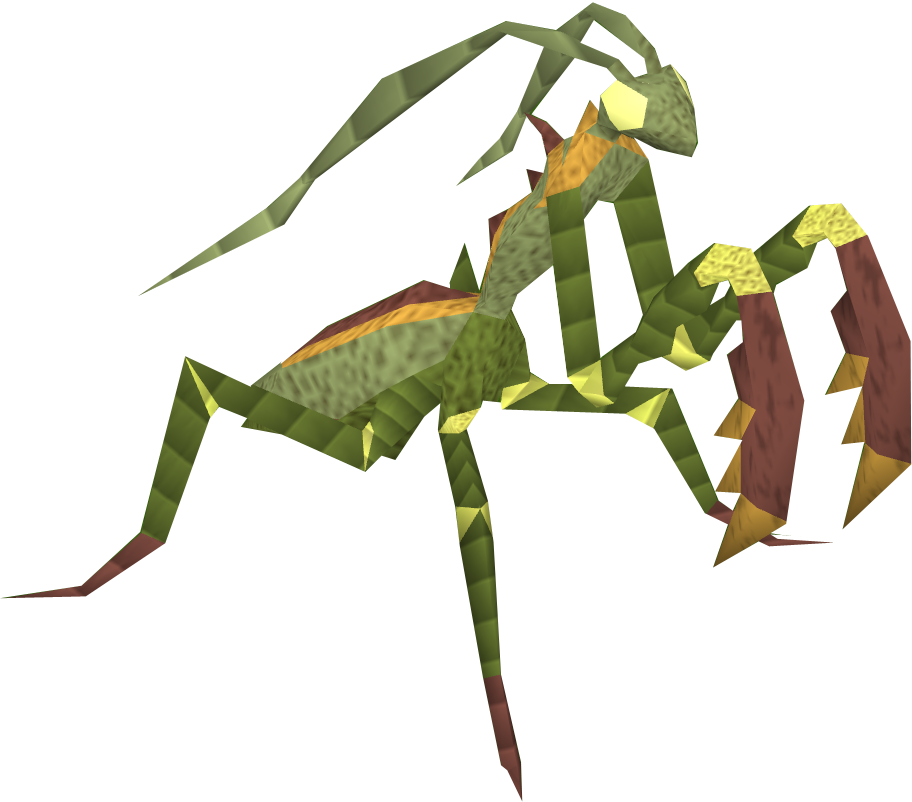 Mantis Png Image File - Praying Mantis Clear Background (912x802), Png Download