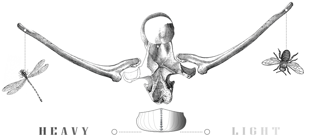 Canoe Weight Calculator - Skull (1200x630), Png Download