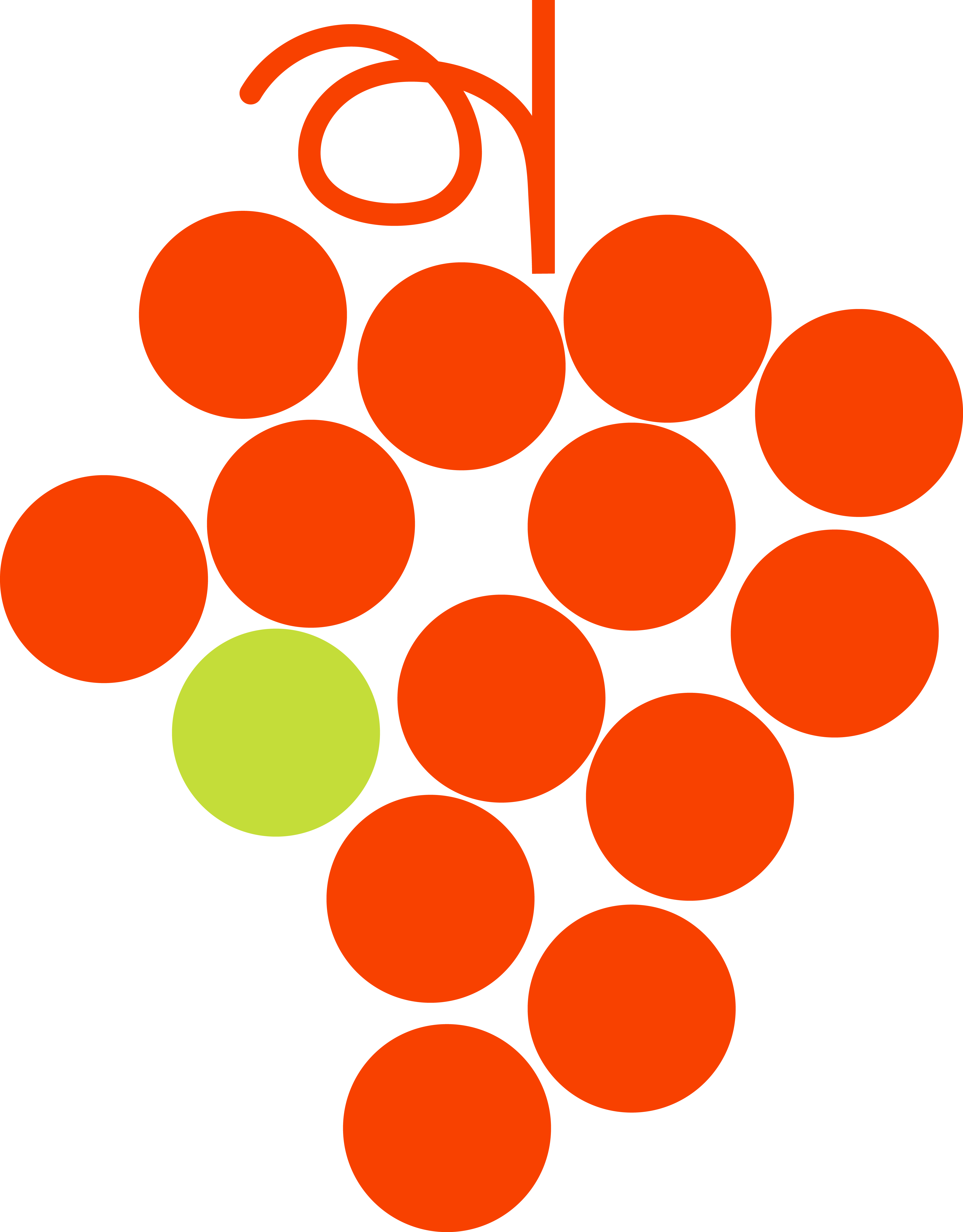 Final Vine Logo Png - Grape (4129x5283), Png Download