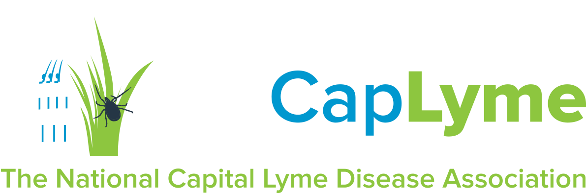 Classdojo (1200x422), Png Download