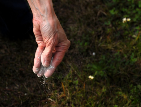 Ashes To Ashes - Cremation (690x350), Png Download