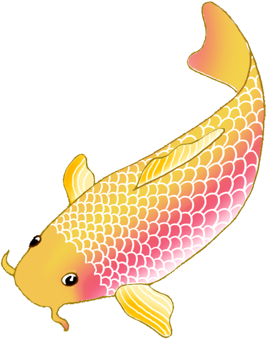 Colorful Koi Fish Drawings Clip Library Download - Koi Fish Clipart Transparent (650x825), Png Download