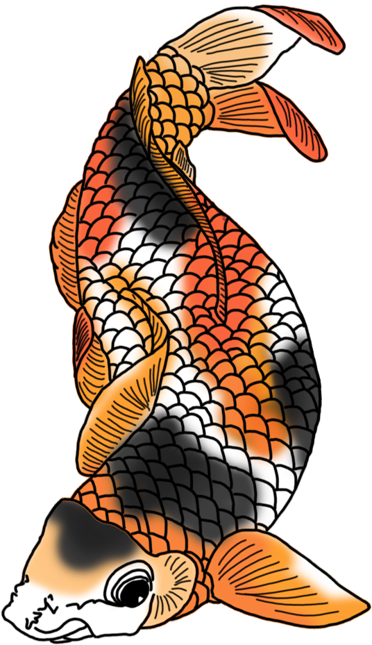 Black White Red Orange Koi Fish - Koy Fish Png (736x1063), Png Download