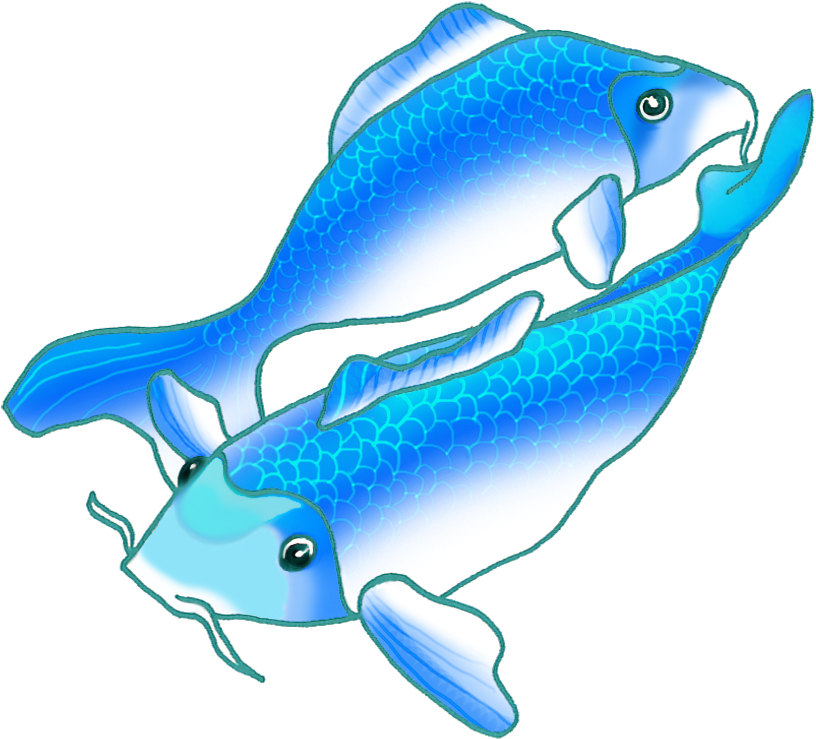 Colorful Koi Fish Drawings Picture Transparent Library - Png Swimming Koi Fish (886x854), Png Download