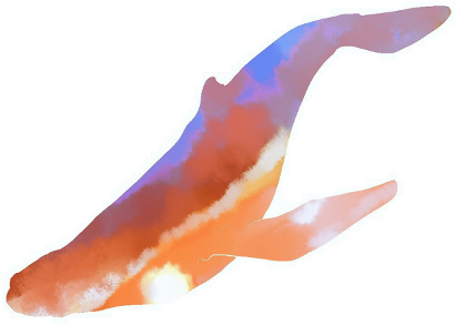 Marine Mammal (480x480), Png Download