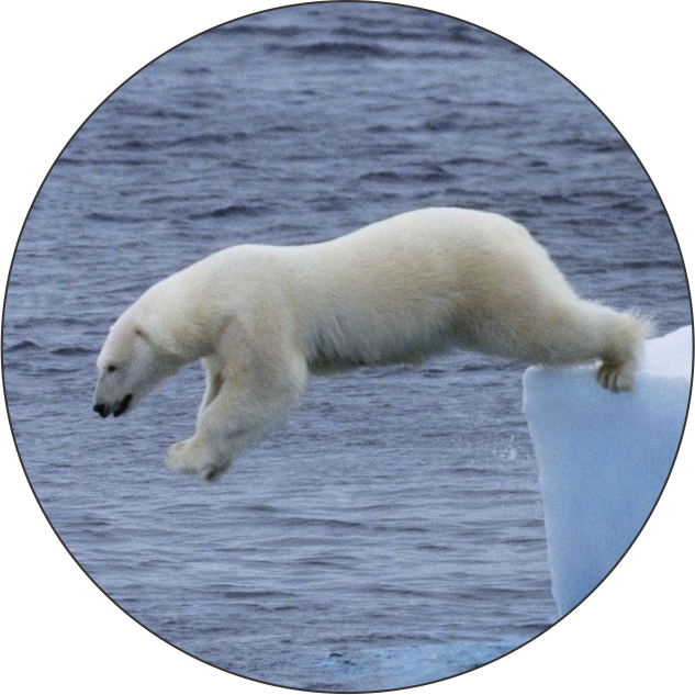 Schoppy's Since - Kuzey Buz Denizi Ile Ilgili Bilgiler (633x633), Png Download