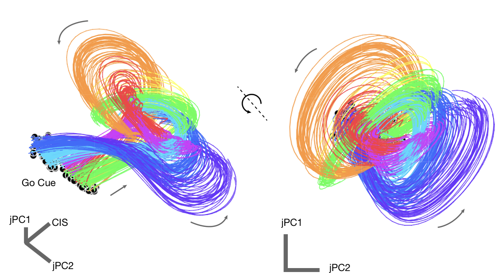 Noise-cancelling Method Enhances Ability To Predict - Common Fig (1008x556), Png Download
