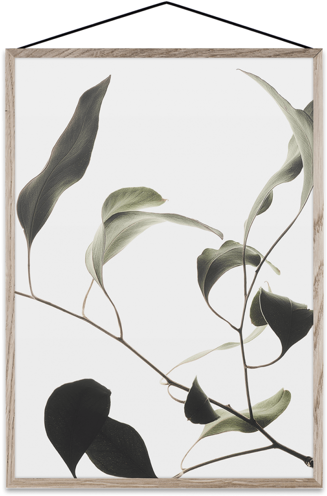 Floating Leaves - Floating Leaves By Norm Architects (708x1070), Png Download