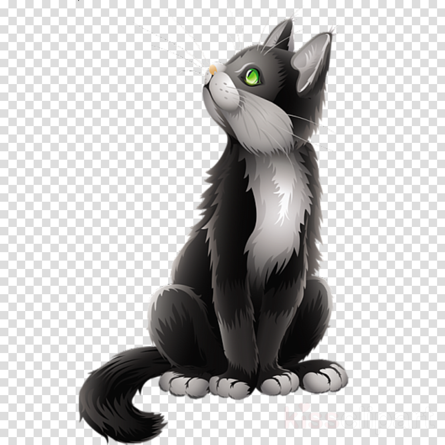 Realistic Cat Cartoon (900x900), Png Download