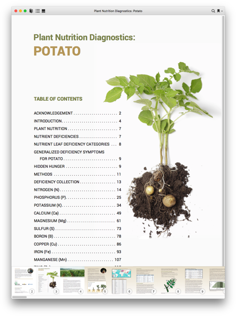 Digital Download - Potato (769x1024), Png Download