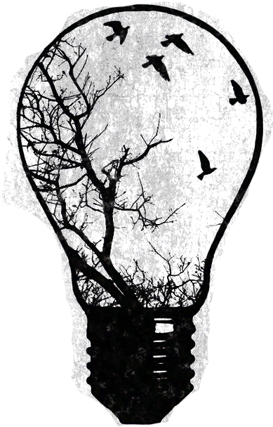 Bulb Drawing Tree Clipart Library Library - Flock Of Birds Silhouette (564x782), Png Download