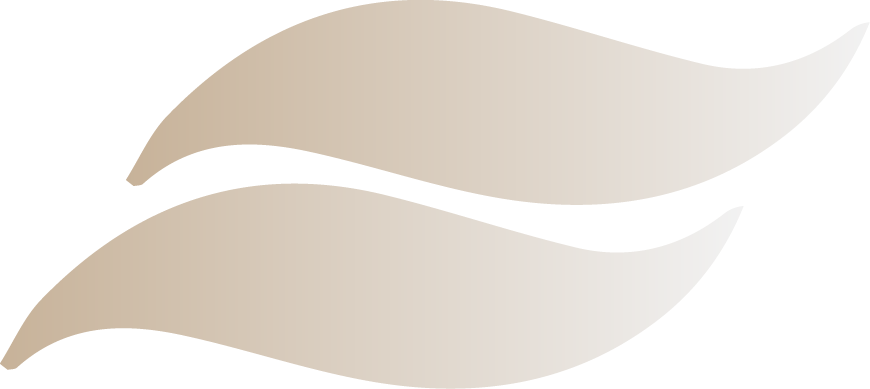 Plate Of Spaghetti - Spaghetti (870x389), Png Download
