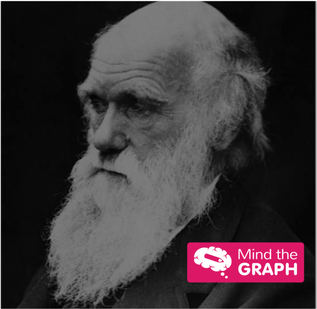 Asset 9@4x - Charles Darwin Portrait (1024x683), Png Download