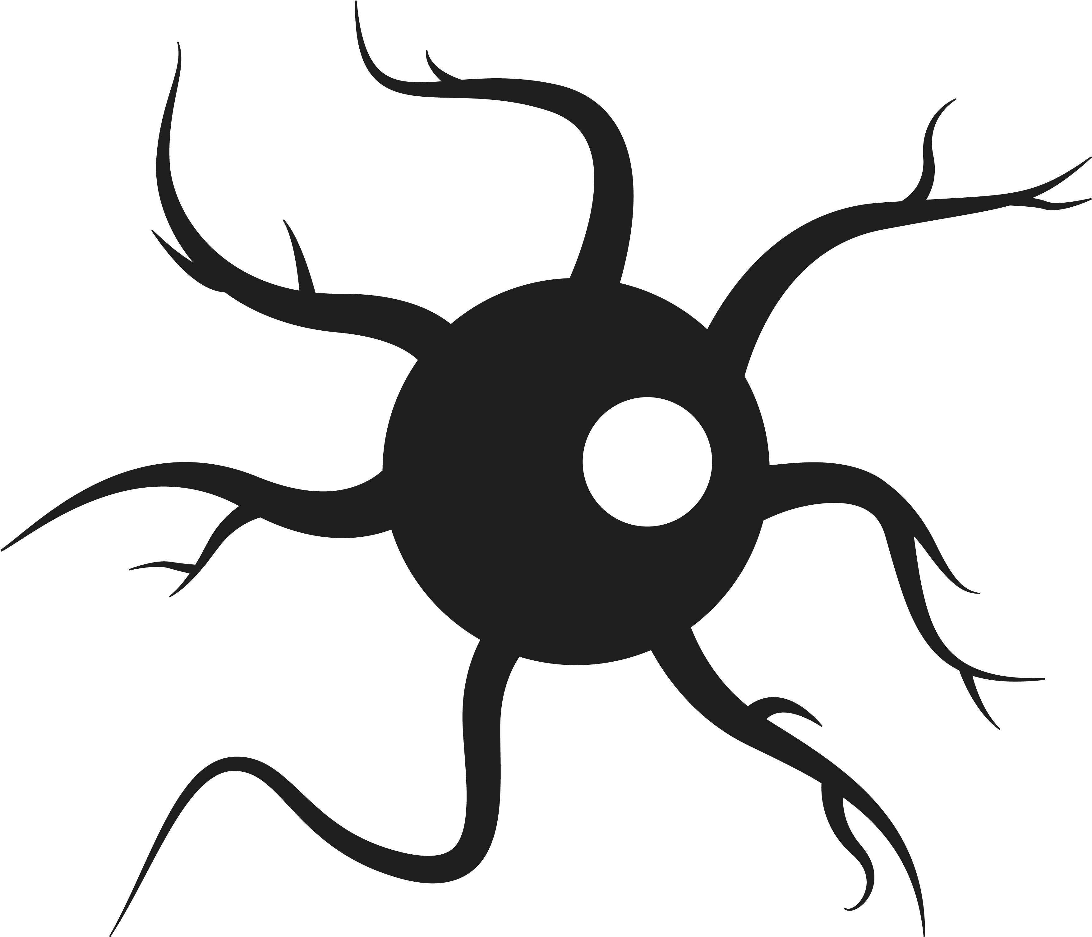 Nerve Clipart (4167x4167), Png Download
