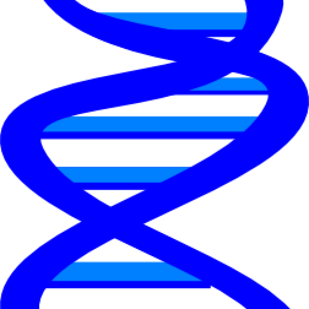Dna Clip Art Dna Clip Art At Clker Vector Clip Art - Clip Art (1024x1024), Png Download