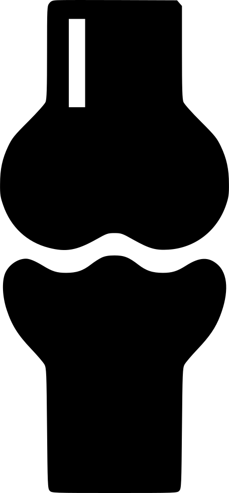 Png File Svg - Joint Bone Graphic (456x980), Png Download