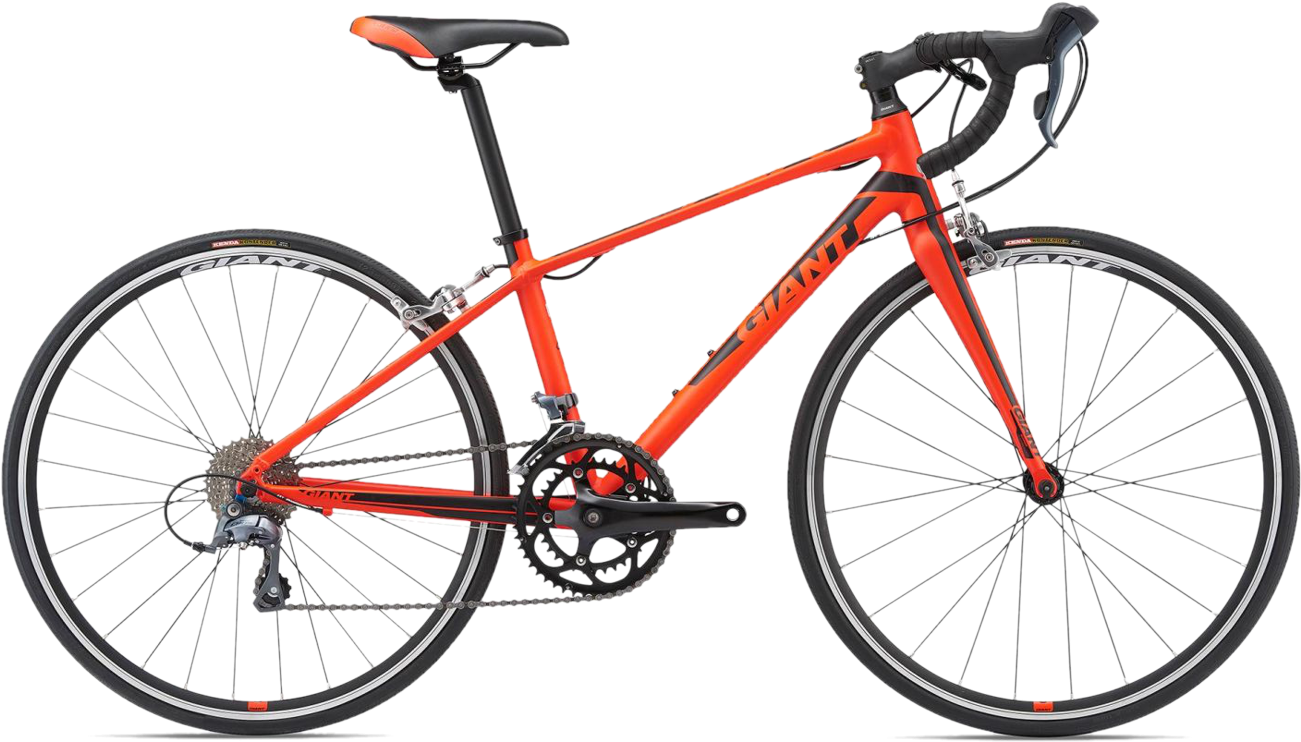 giant kids road bike