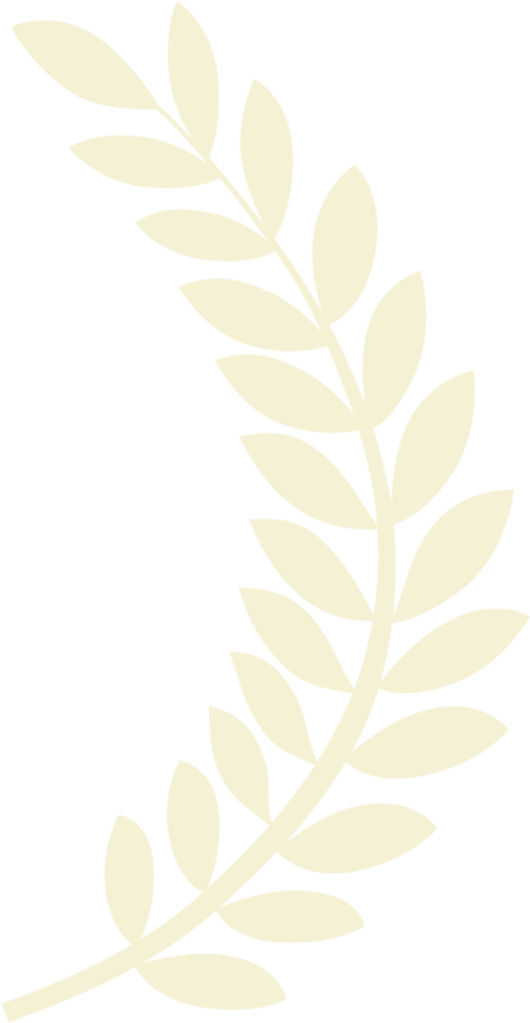 Awards & Festival Screenings - White Laurel Wreath Png (1102x2000), Png Download