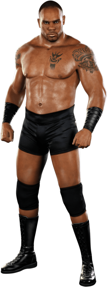 Shawn Michaels Svr 2011 (475x949), Png Download