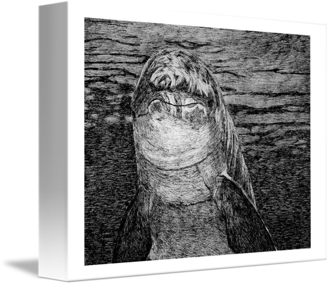 Jpg Library Download Dolphin Smile By Chris Cummings (650x562), Png Download