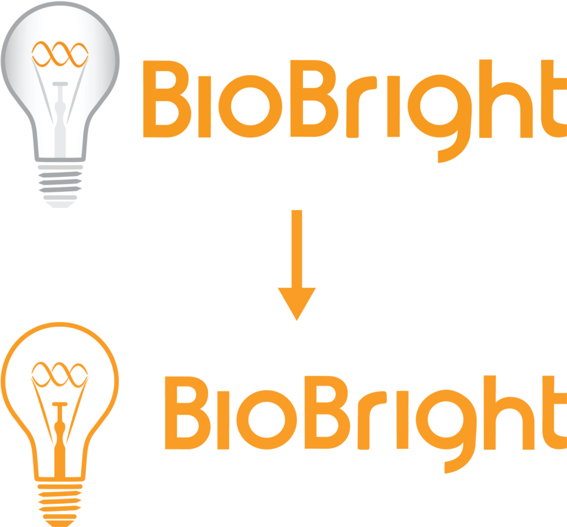 During My First Thorough Assessment Of Biobright's - Incandescent Light Bulb (1200x1088), Png Download
