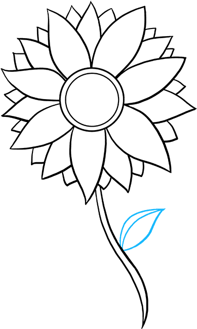 How To Draw Sunflower - Easy Sunflower Drawings Black And White (680x678), Png Download