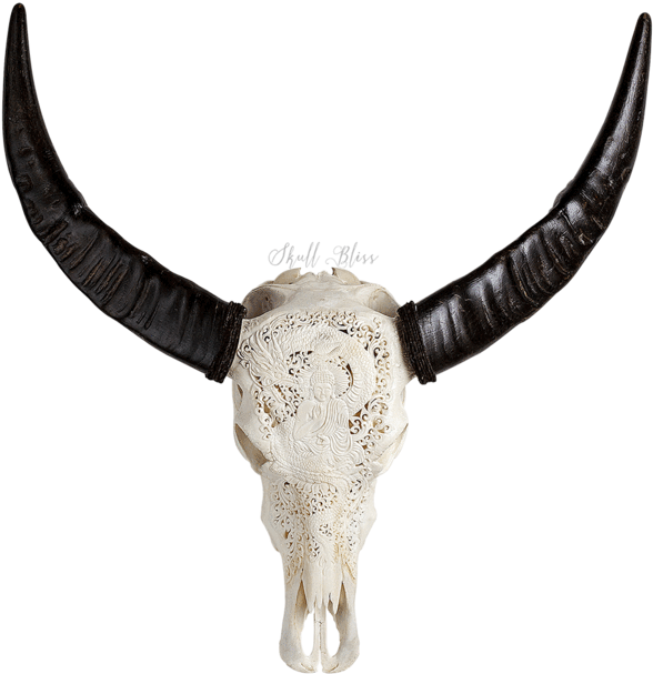 Carved Buffalo Skull (645x645), Png Download