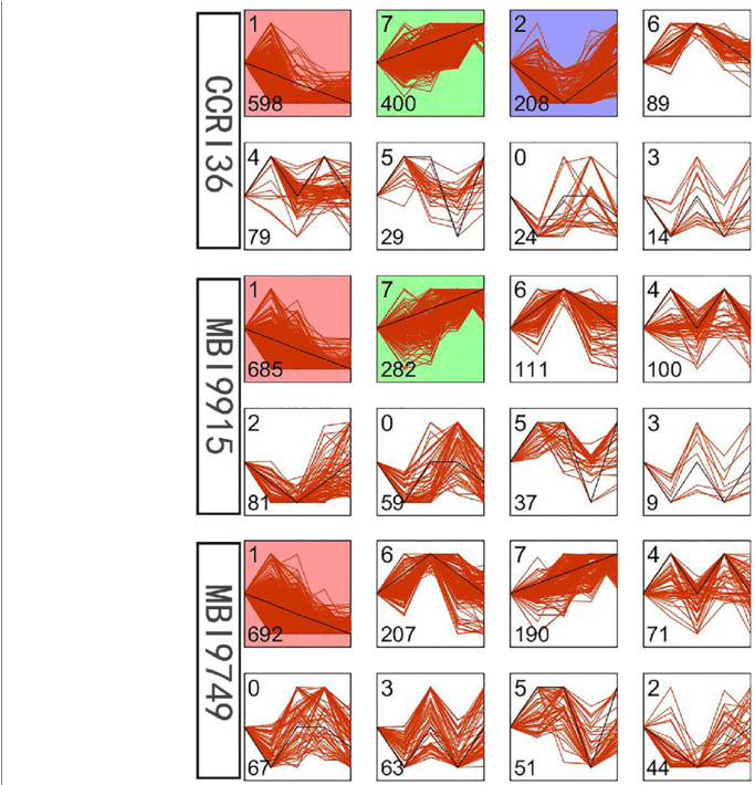 Different Gene Expression Patterns In The Three Lines - Gene (850x709), Png Download