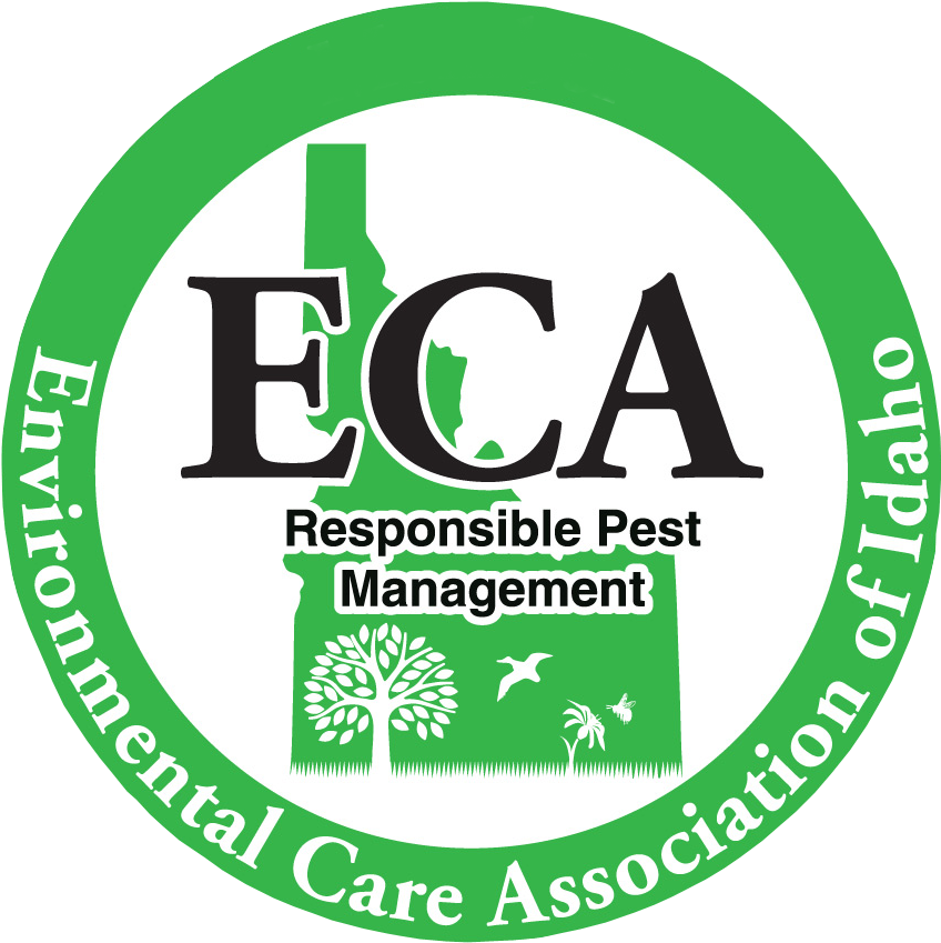 Mjolnir (999x1013), Png Download