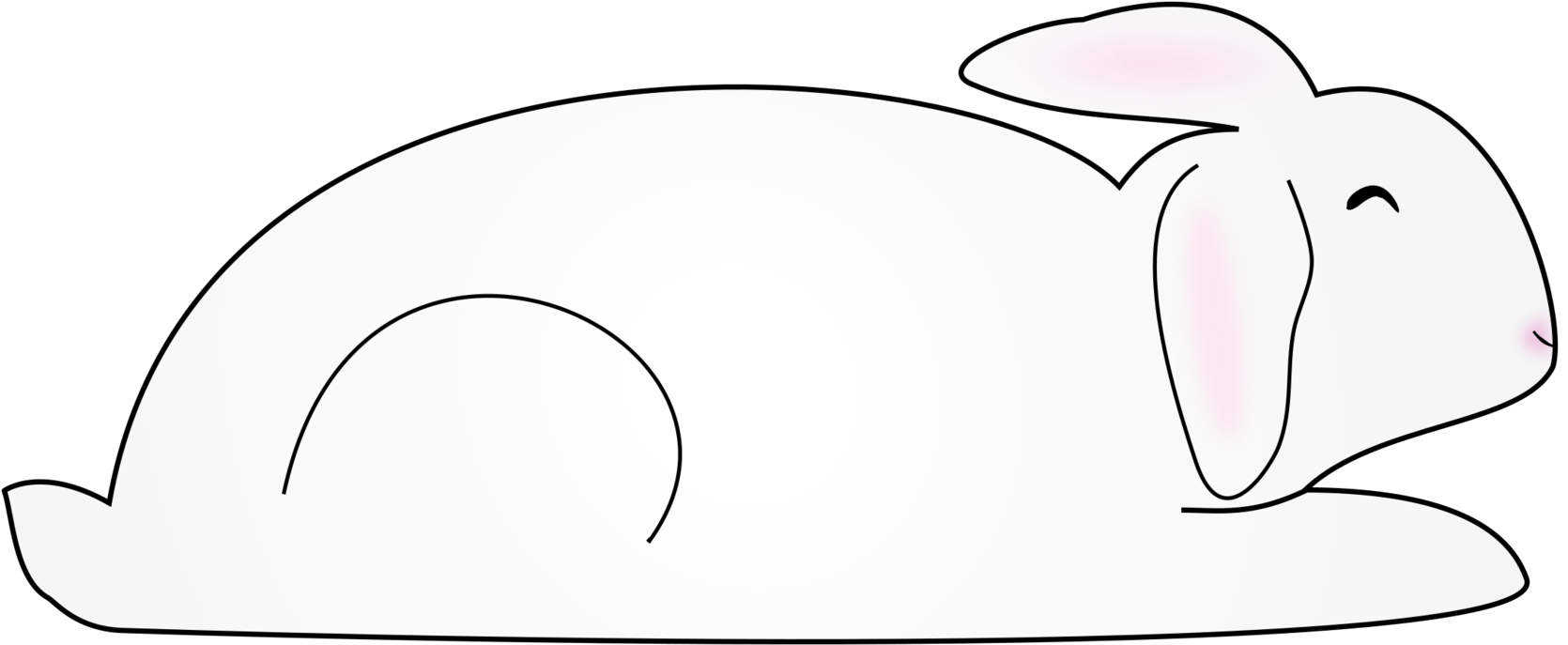 Rabbit White Easter Bunny Hutch Red - Rabbit (1850x750), Png Download