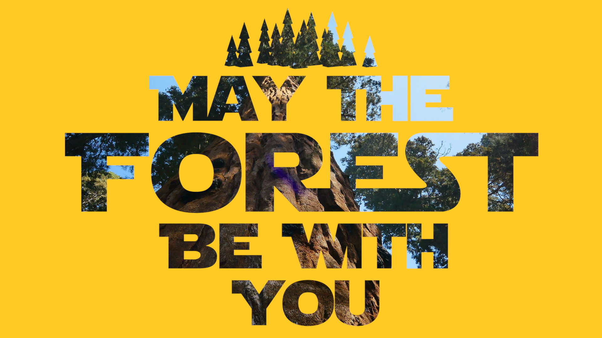 Png Still Image - You (1920x1080), Png Download