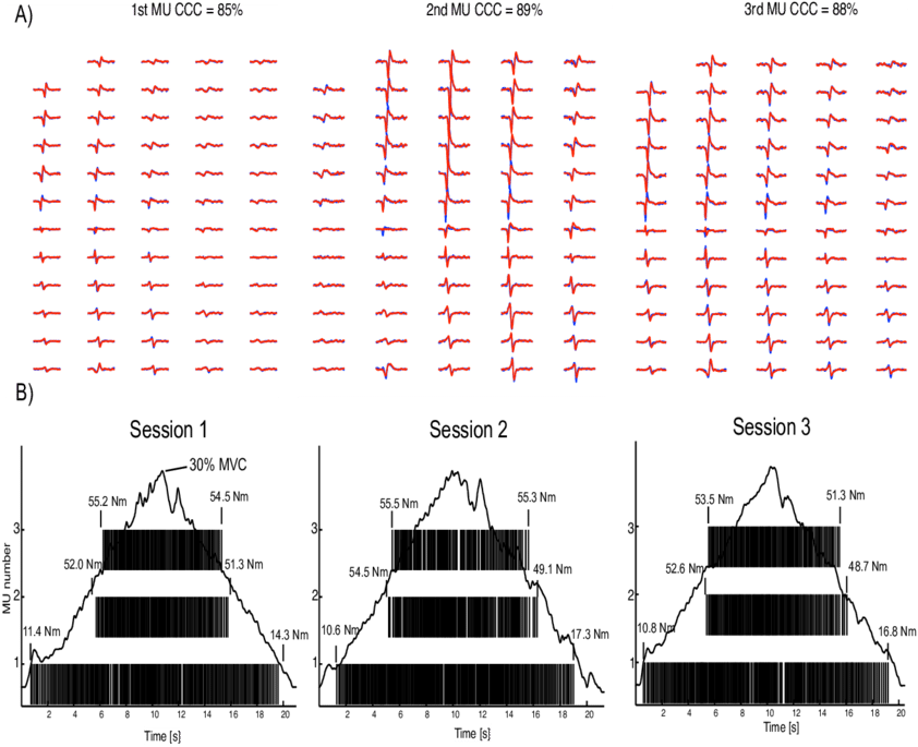 Download - Action Potential (850x696), Png Download