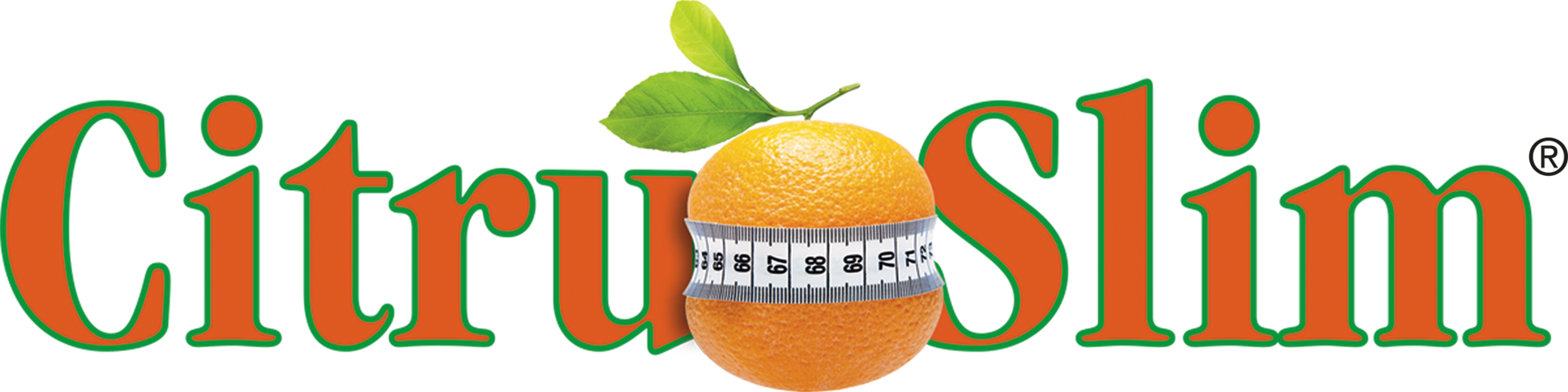 Wild Harvested Ingredients - Libro 100 Ricette Anticellulite Annalisa Bettin (1738x435), Png Download