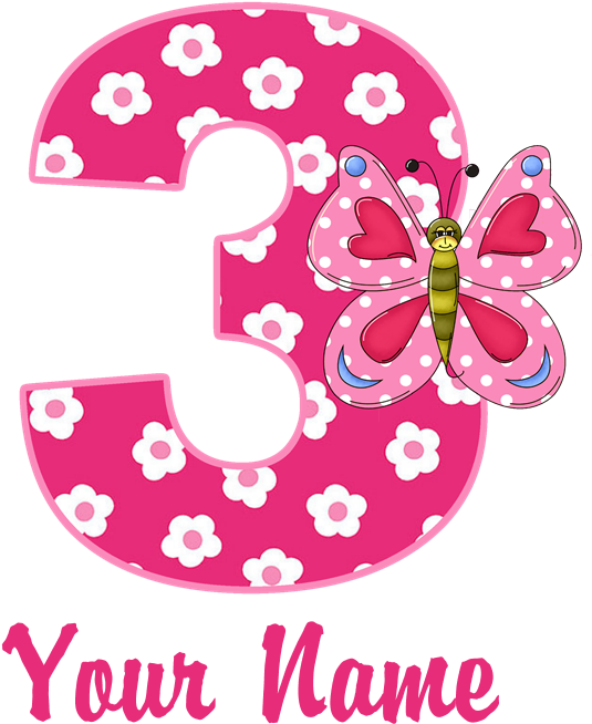 3rd Birthday Butterfly T-shirt - 3rd Birthday Clip Art Transparent (535x654), Png Download