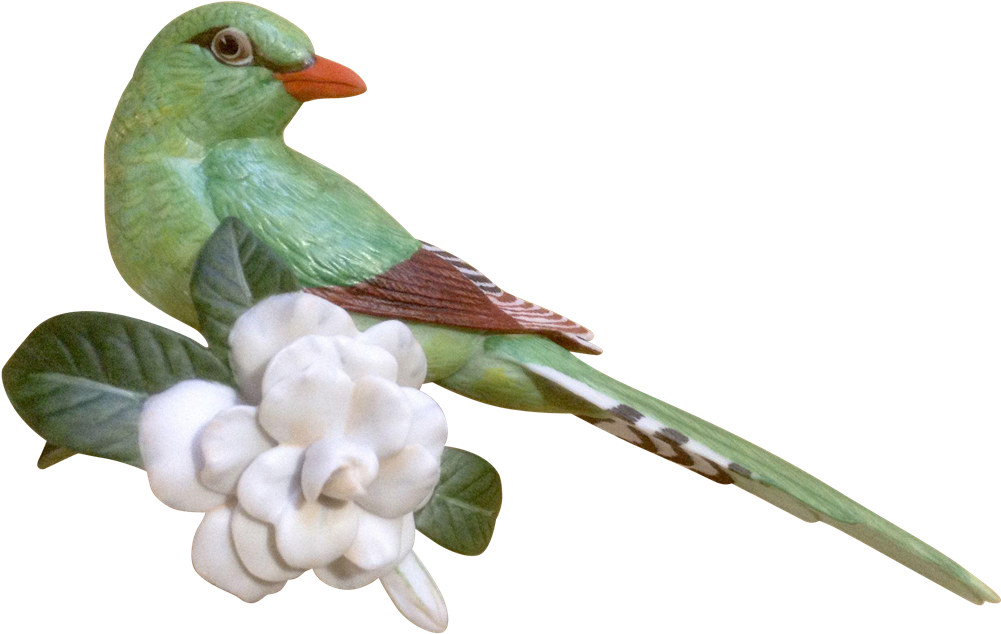 1987 Franklin Mint, Tropical Birds And Flowers Series, - Green Magpie Png (1000x1000), Png Download
