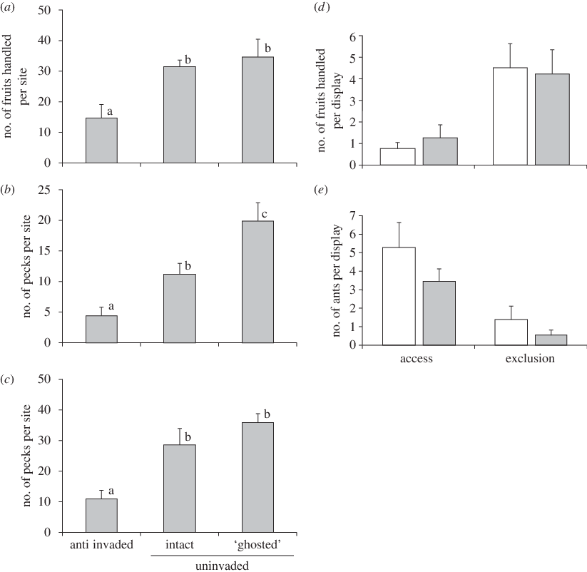Number Of Model Fruits Handled Per Site By Birds (mean - Diagram (823x802), Png Download