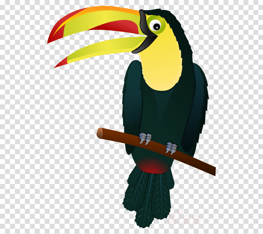 Tropical Bird Clip Art Clipart Bird Parrot Clip Art - Toucan Clipart Png (900x800), Png Download