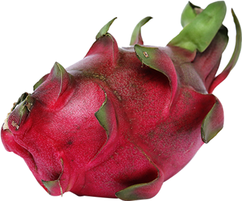 Exotic Fruits - Pitaya (600x550), Png Download